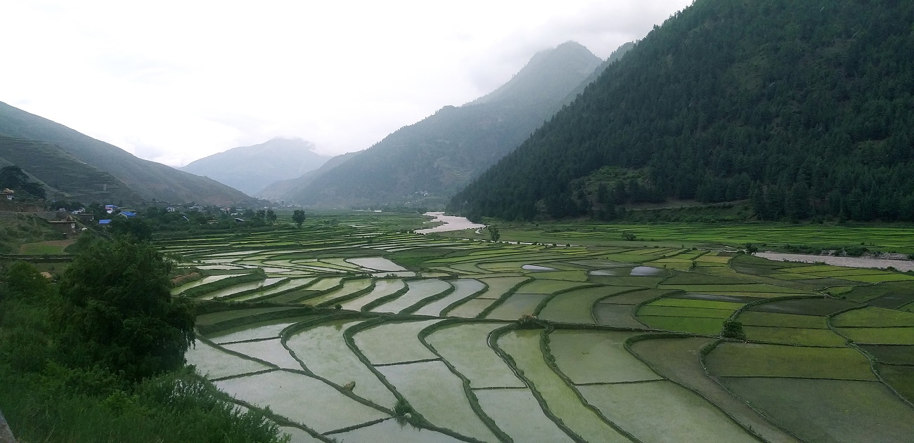 तिला उपत्यका। तस्बिर सौजन्यः माधव चौलागाईं